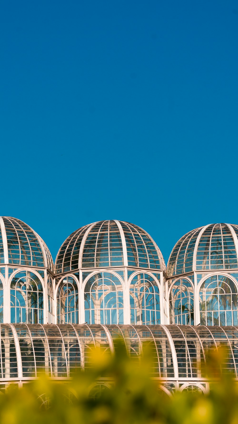 a row of glass greenhouses sitting next to each other