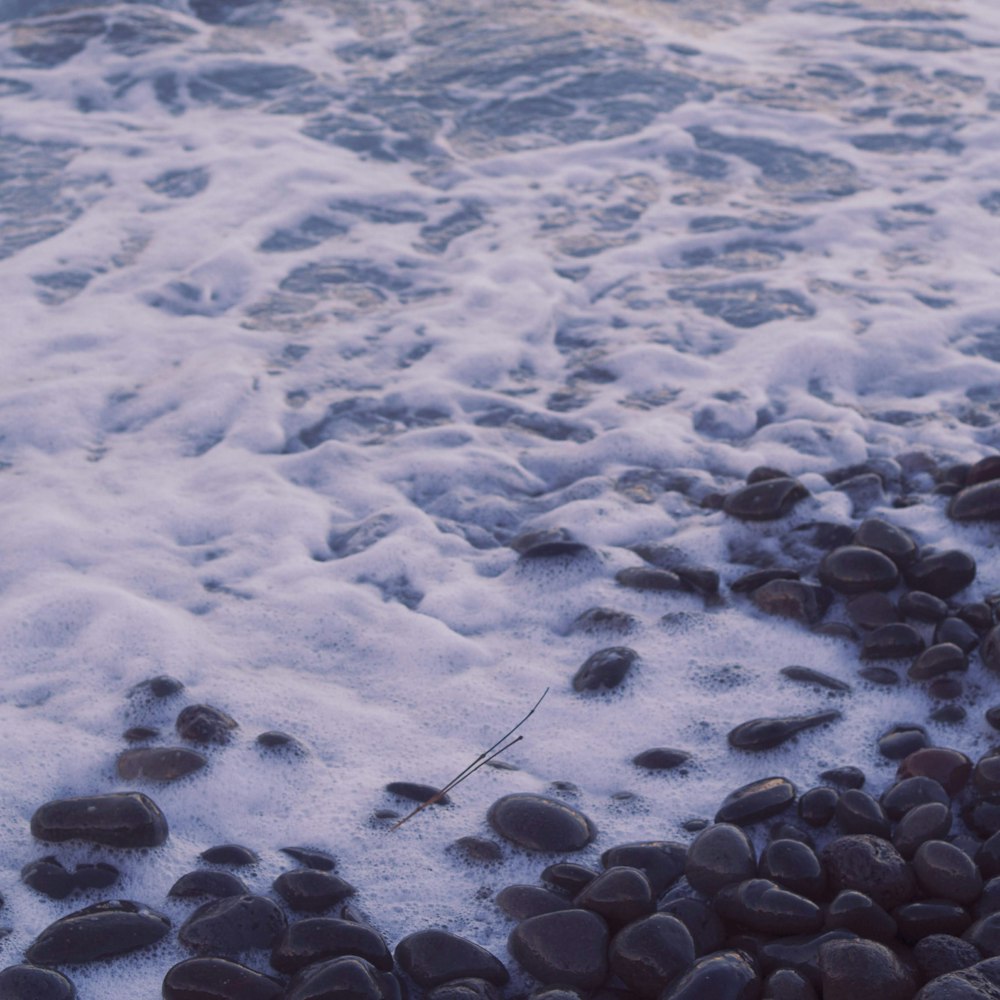 a surfboard sitting on top of a pile of rocks