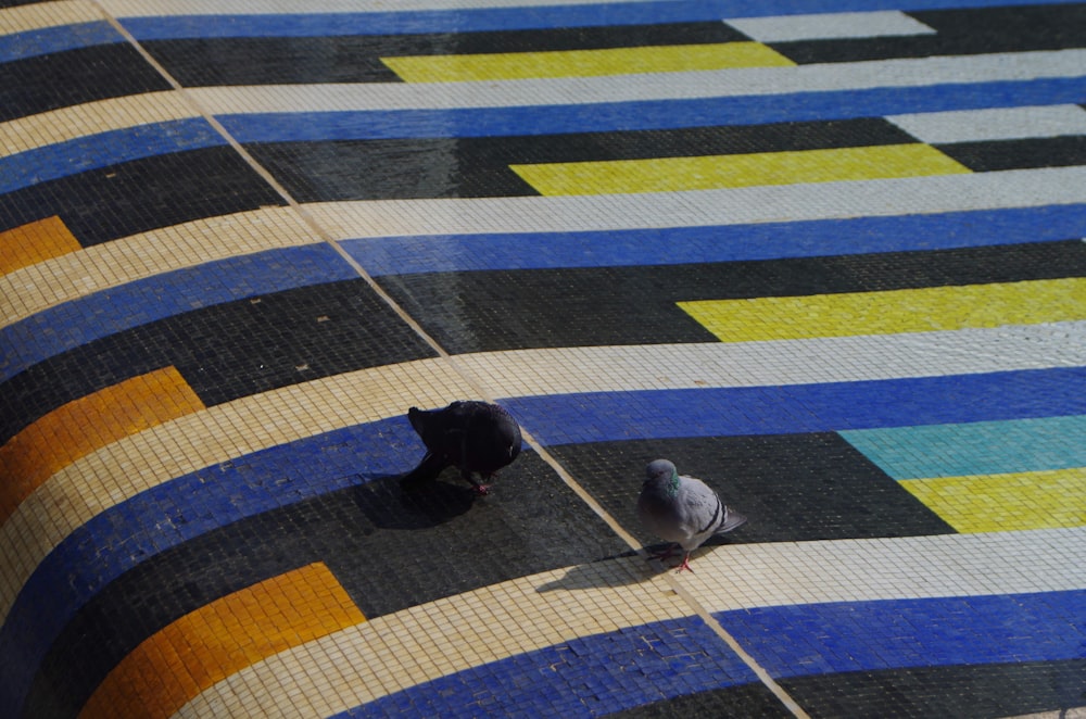 a couple of birds standing on top of a tiled floor