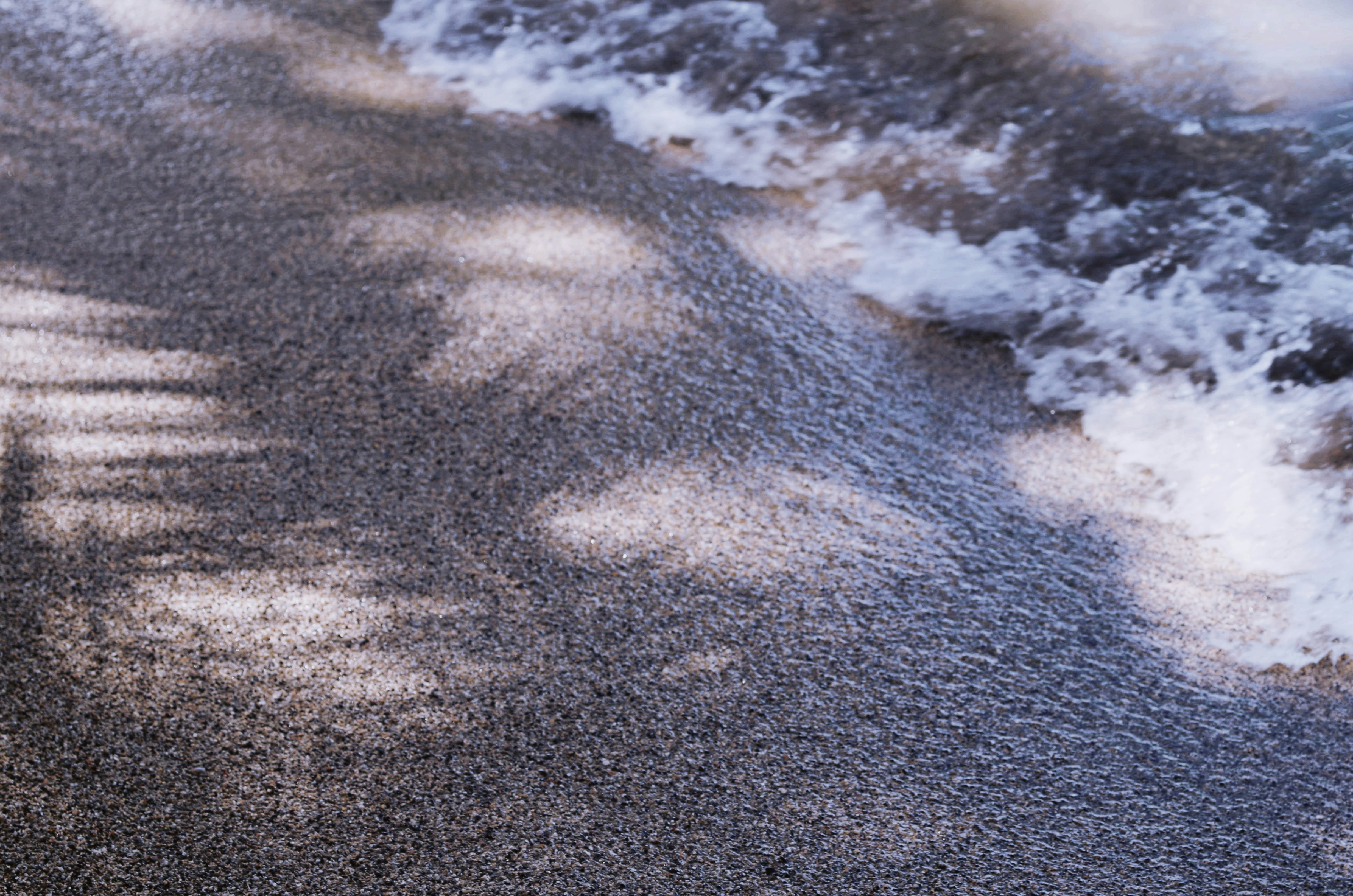 a bird is standing on the sand near the water