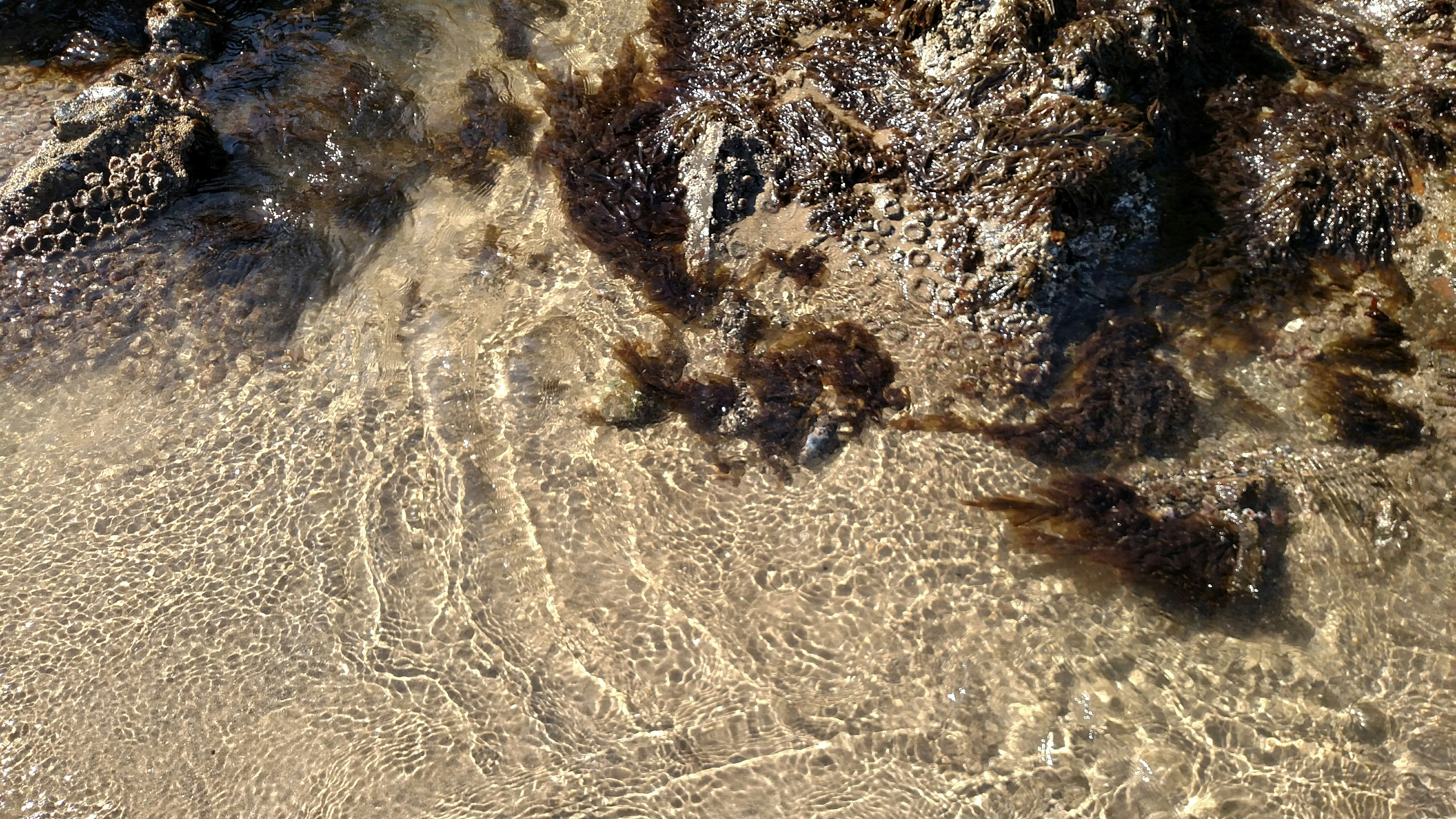 a beach area with rocks and water in the sand