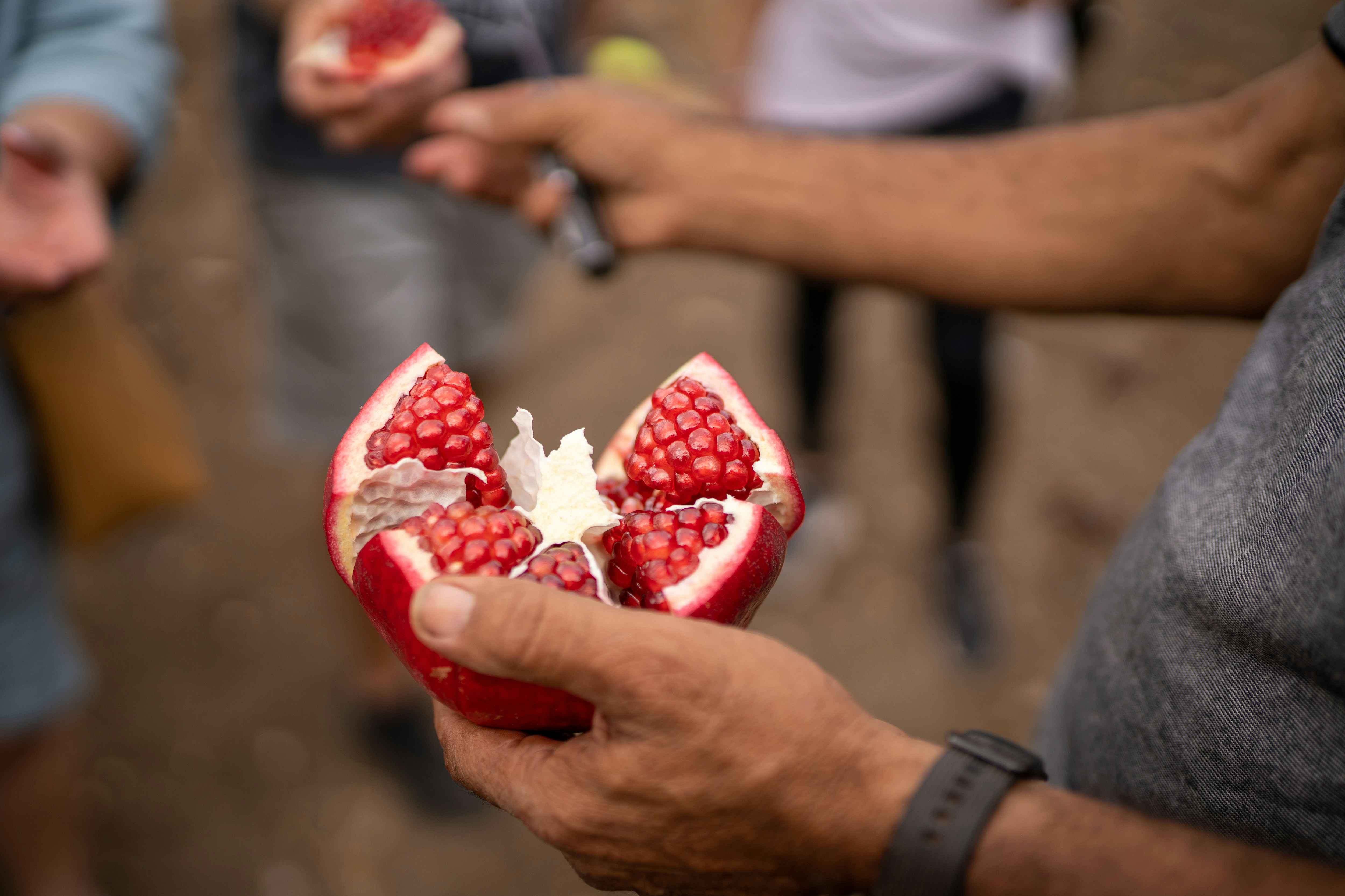 National Strawberry Rhubarb Pie Day