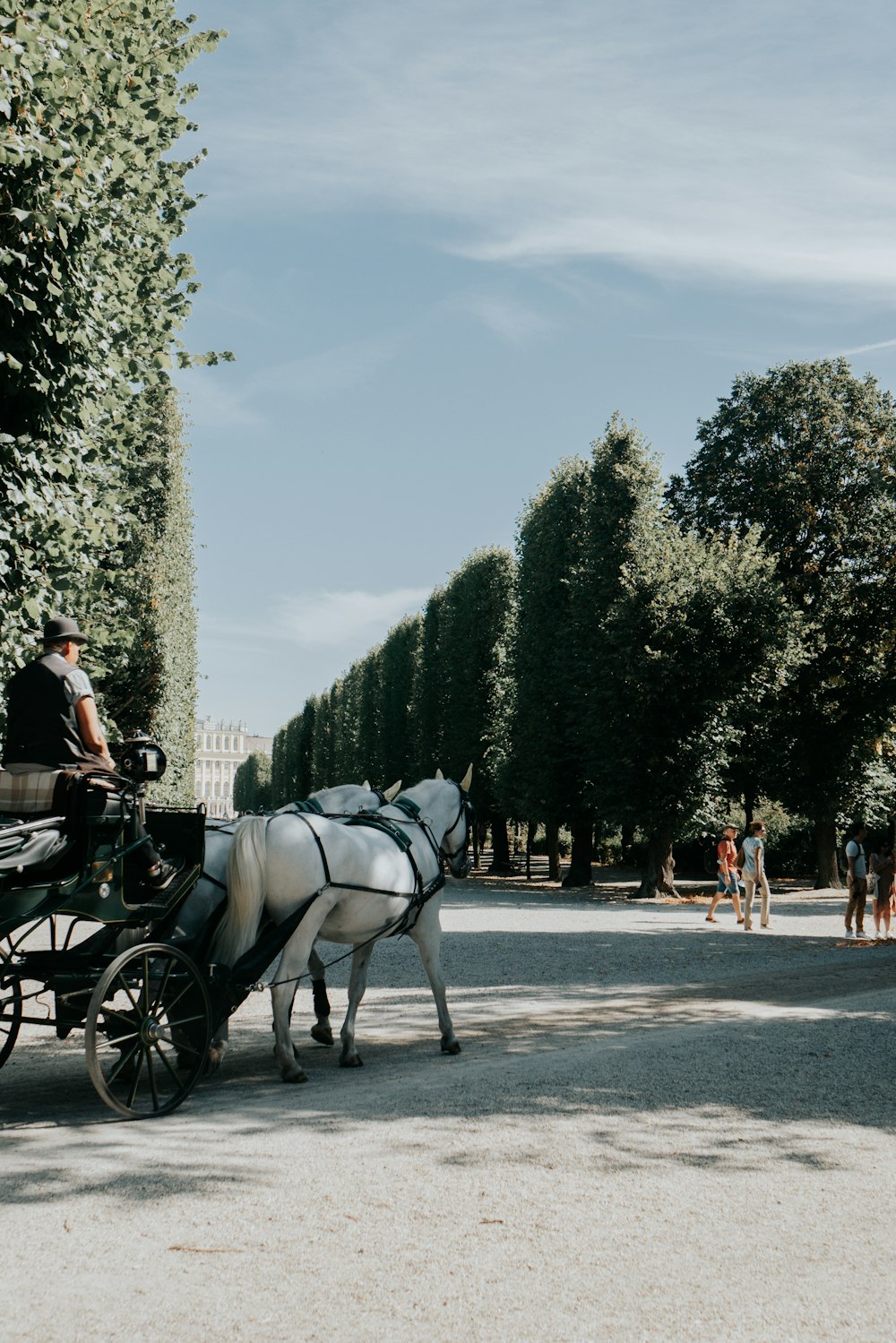 a couple of horses pulling a carriage down a street