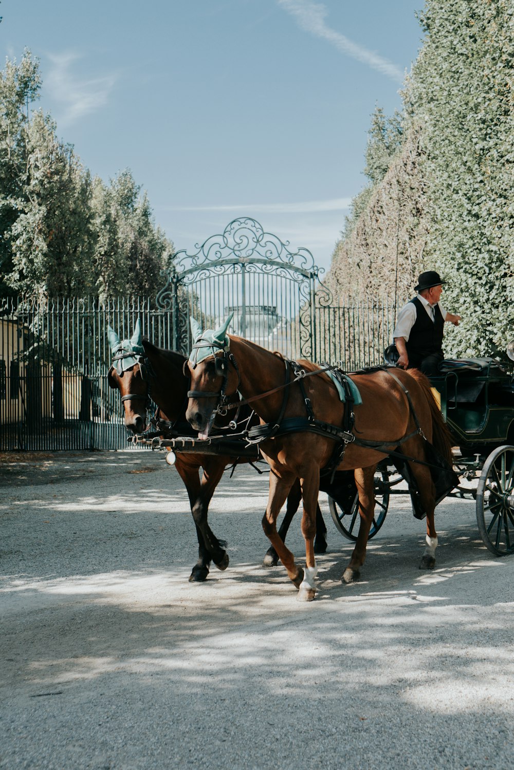 Un couple de chevaux tirant une calèche dans une rue