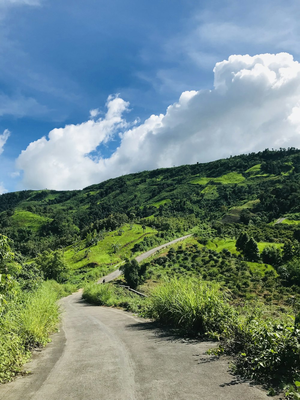 a dirt road in the middle of a lush green hillside