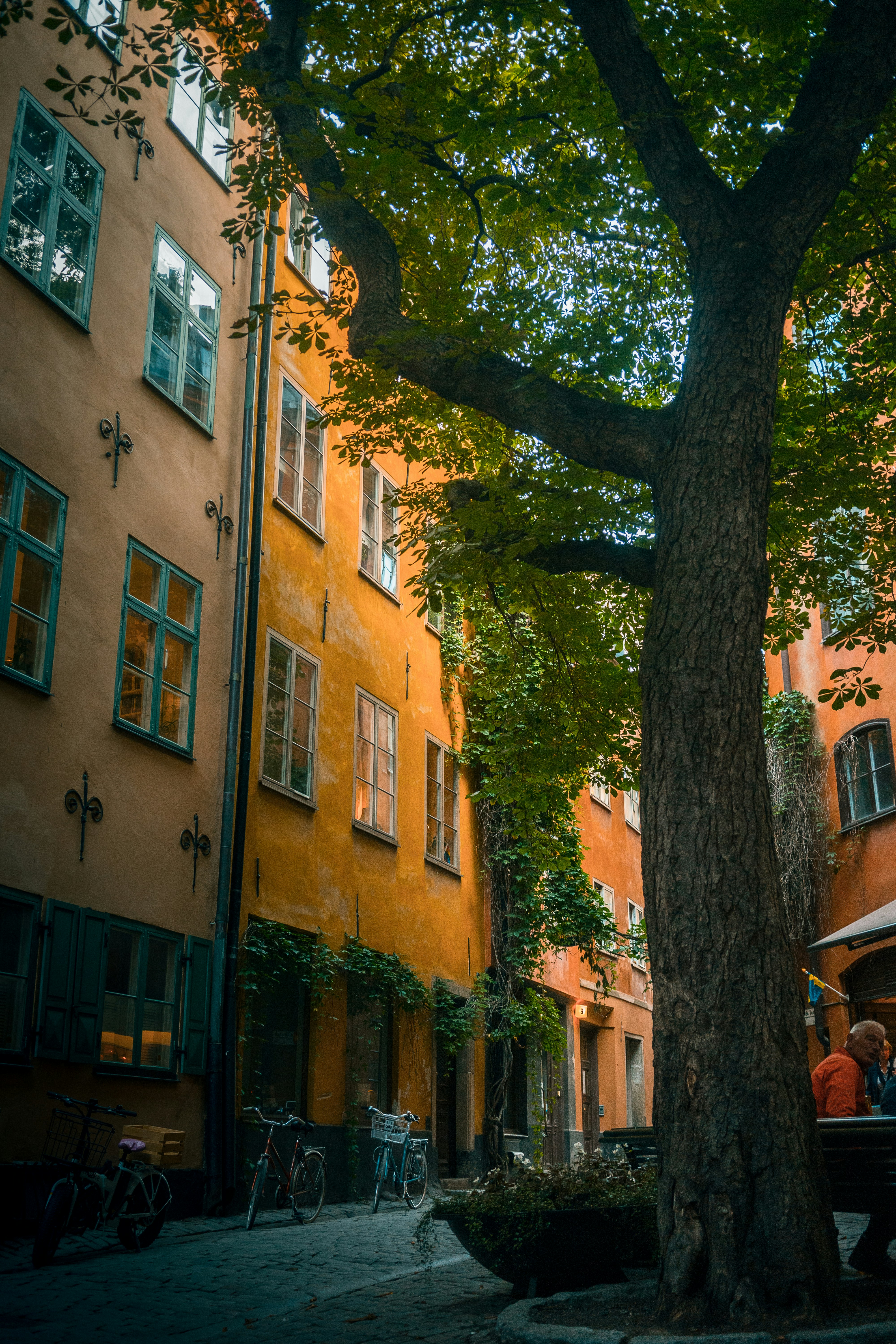 Photo by karljkhedin