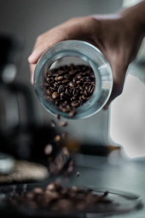 Artisan hands delicately pouring rare coffee beans into a glass jar under soft, moody lighting.