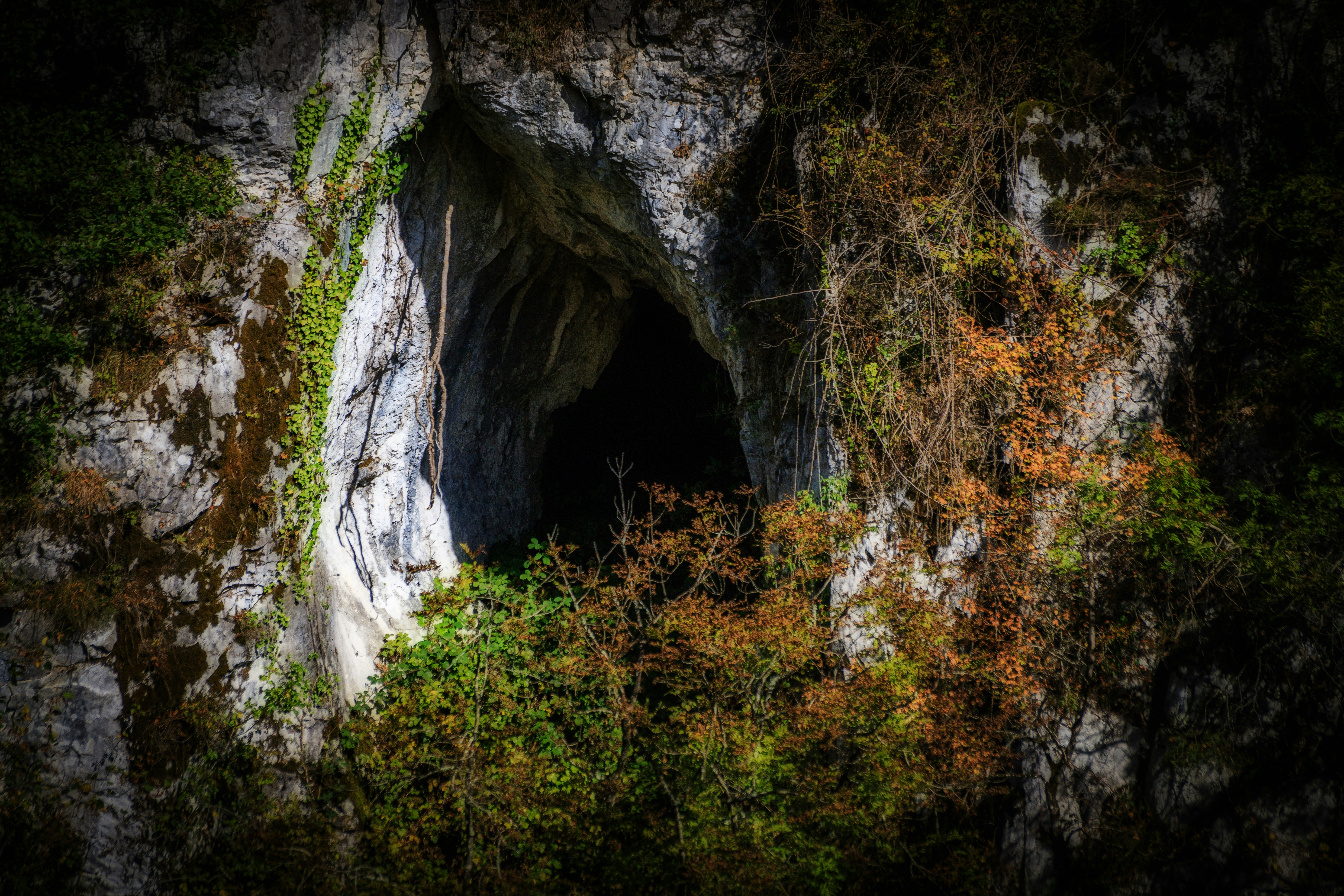 Photo by arizonanthony