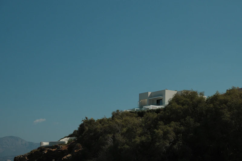 House on a hill surrounded by trees