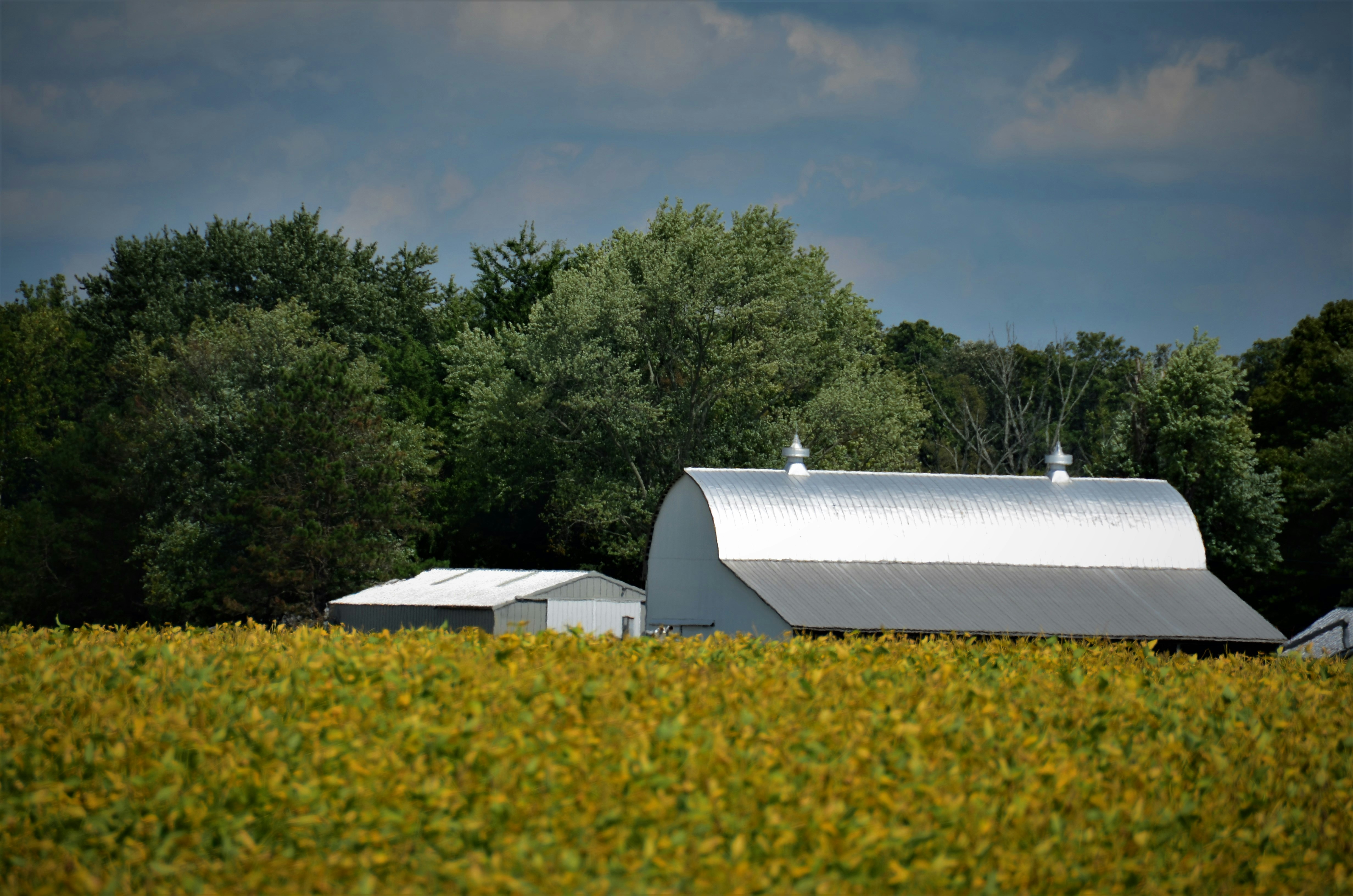 Una granja con un gran granero blanco en medio de un campo foto – Imagen de  Bosque gratuita en Unsplash, image size:3000x1987