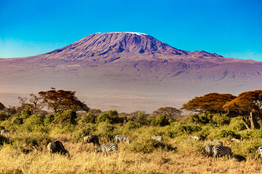 Kilimanjaro by the Machame route