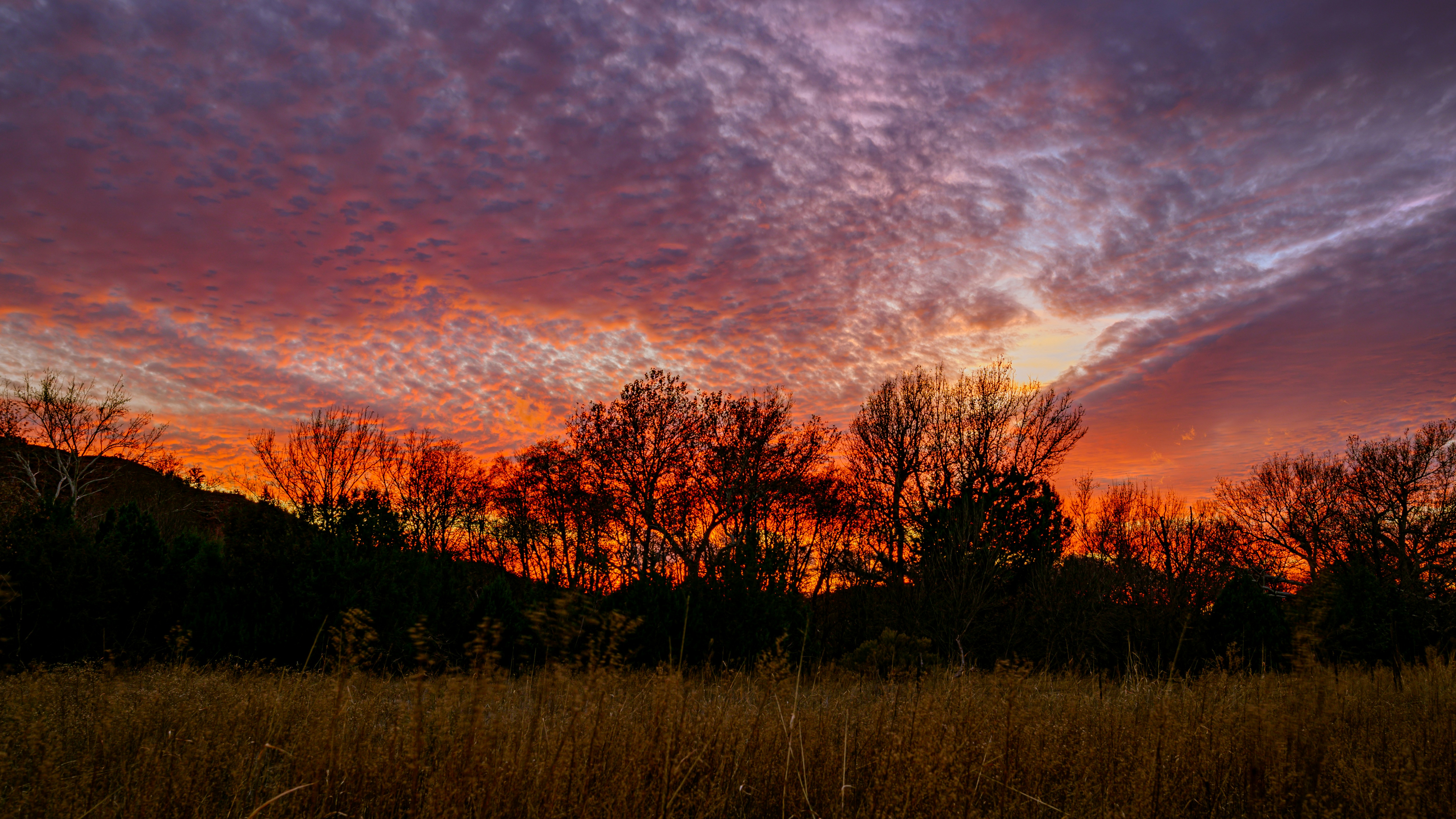 a sunset with clouds and trees in the background