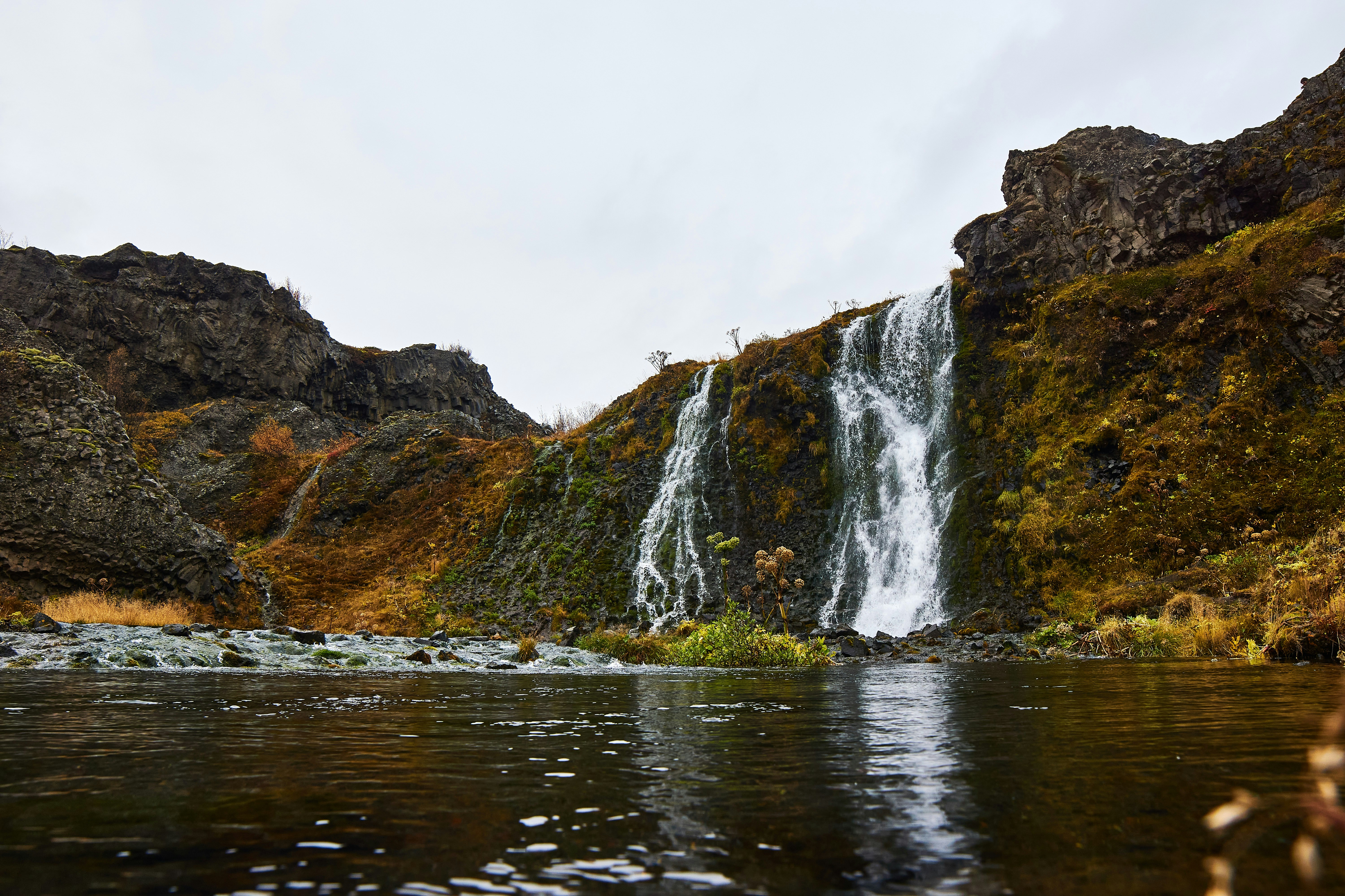 Photo by wolfgang_hasselmann