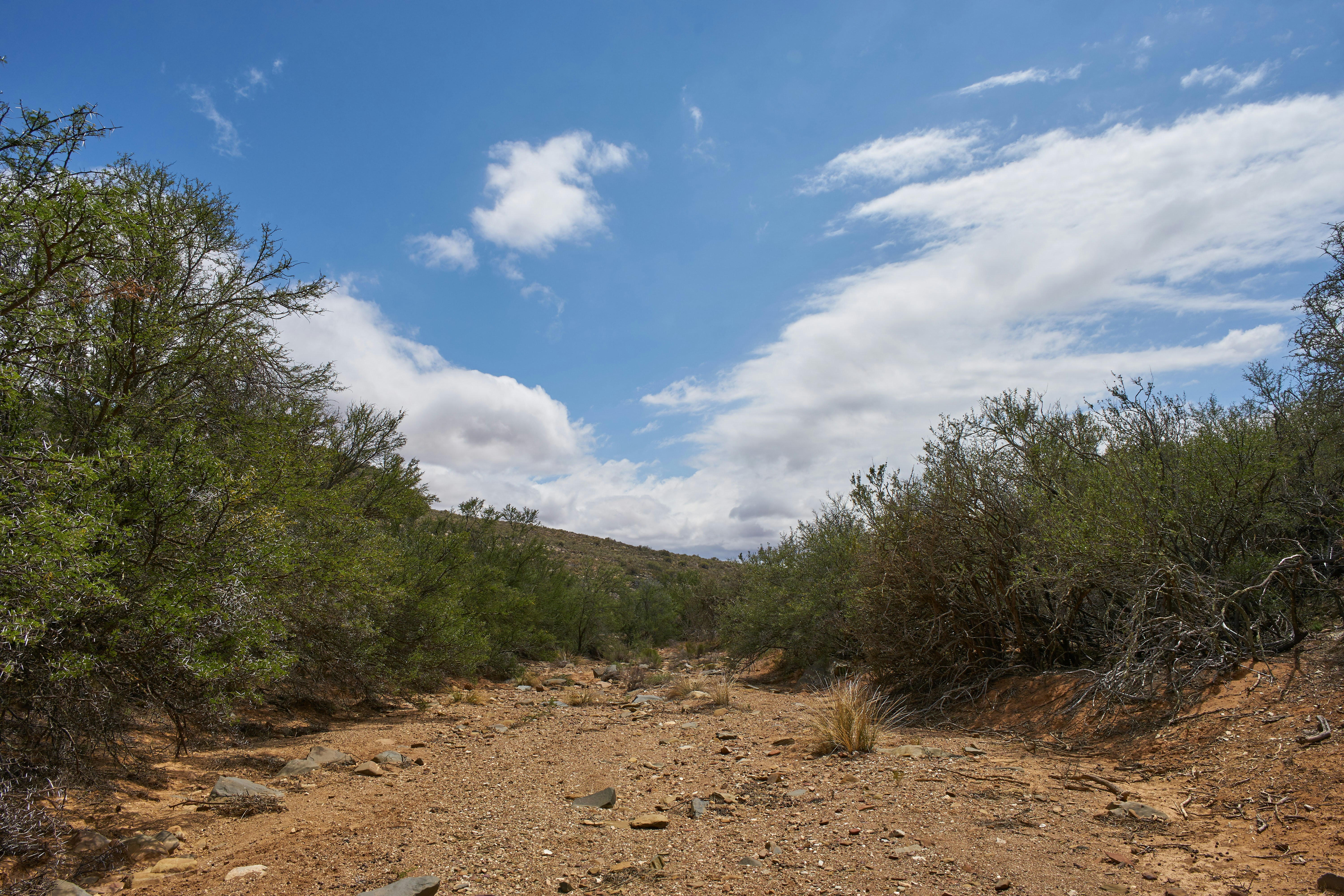 Photo by wolfgang_hasselmann