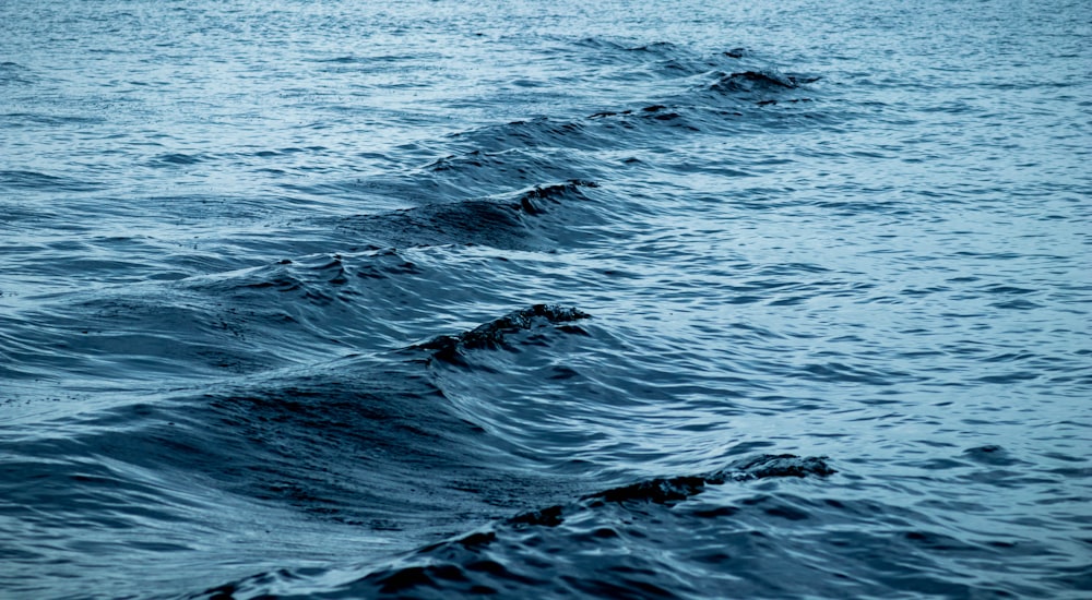 una gran masa de agua con olas en ella