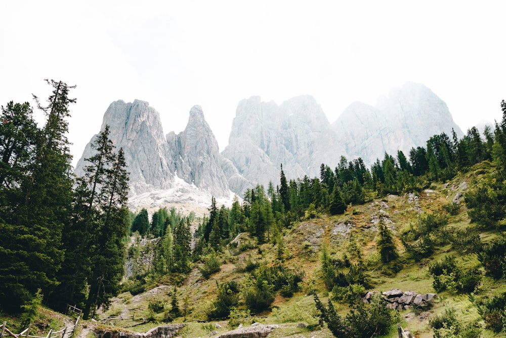 a mountain range with trees and rocks in the foreground