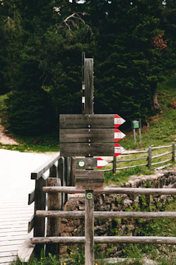 A rustic wooden signpost in a forest clearing with the word 'El Cazador' carved into it.