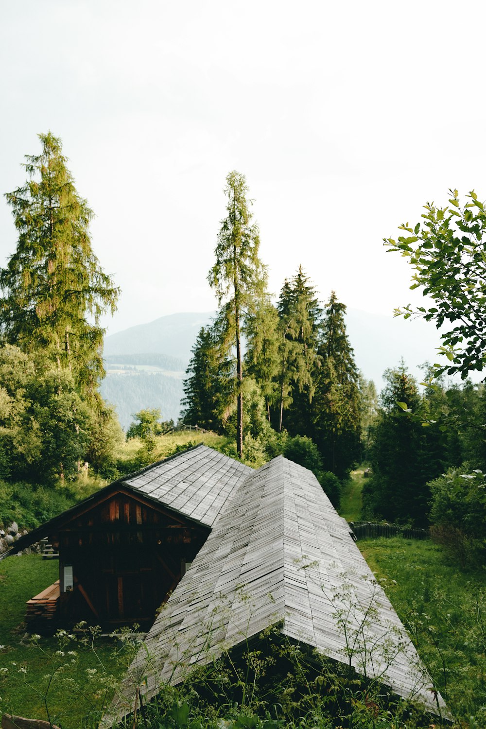 a house with a metal roof in the woods