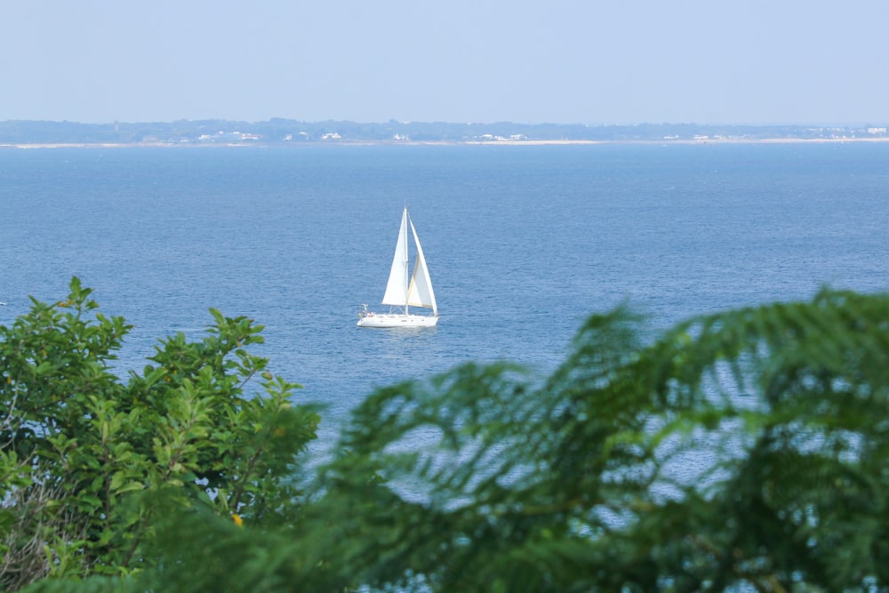 a white sailboat in the middle of the ocean