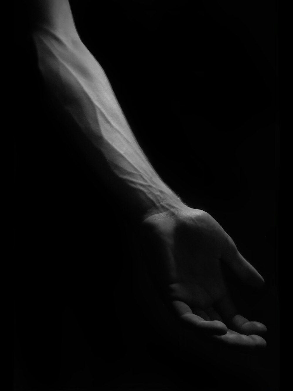 une photo en noir et blanc du bras d’une personne