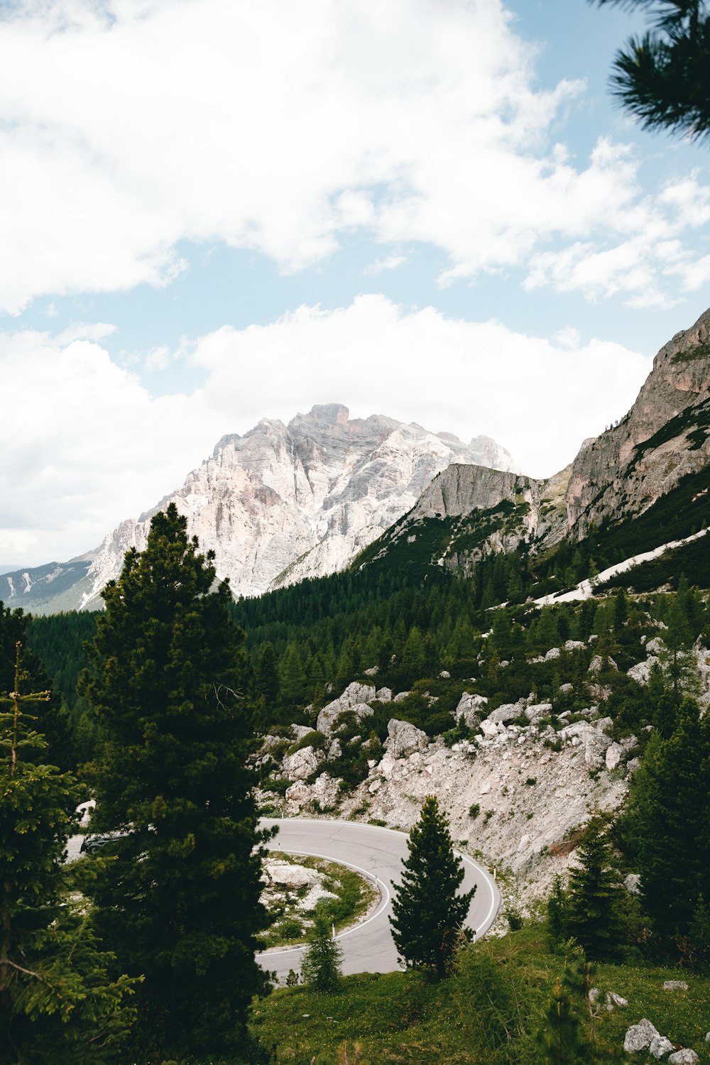 a winding road surrounded by trees and mountains