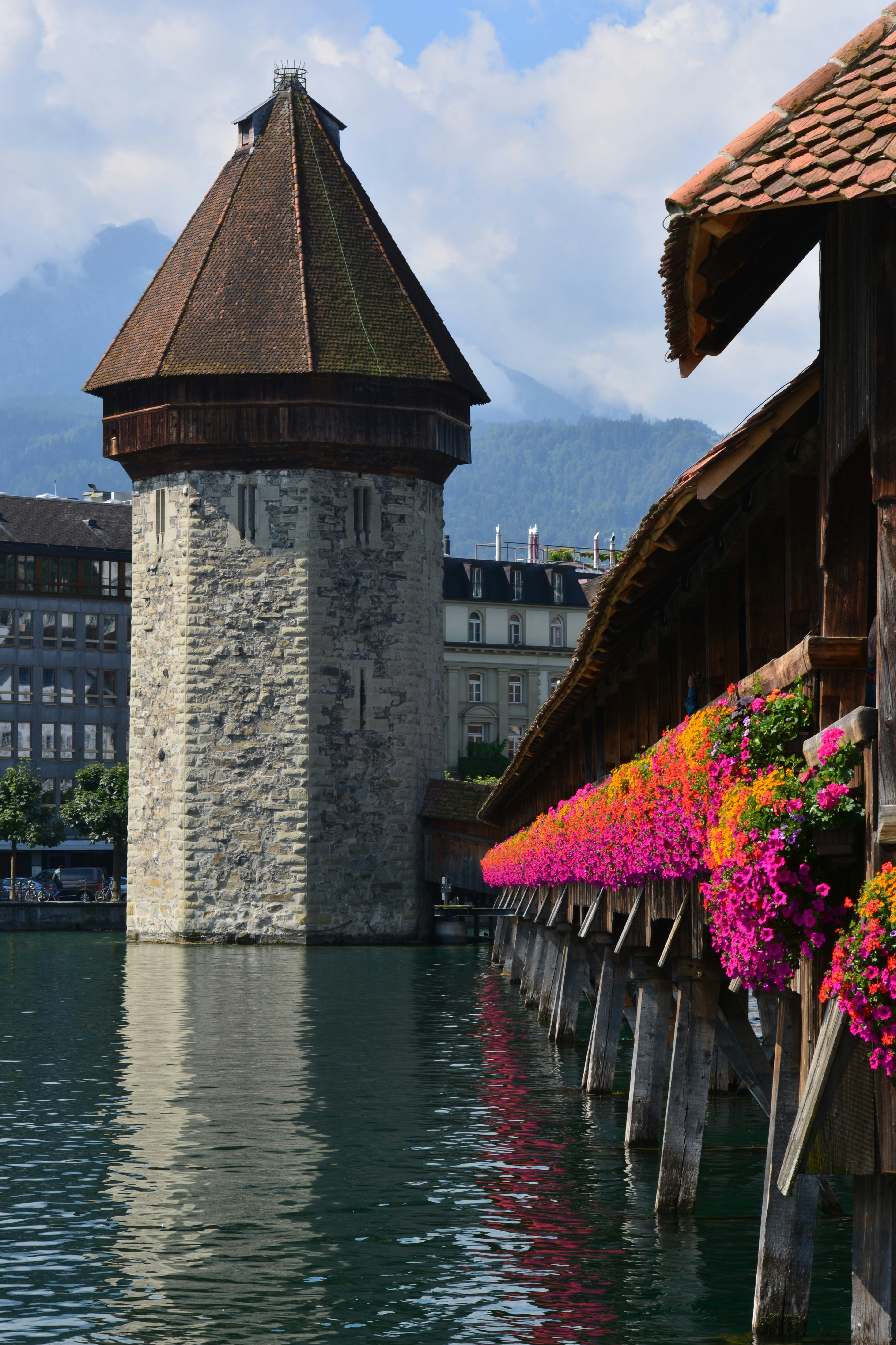 Photo by pedrino5_official