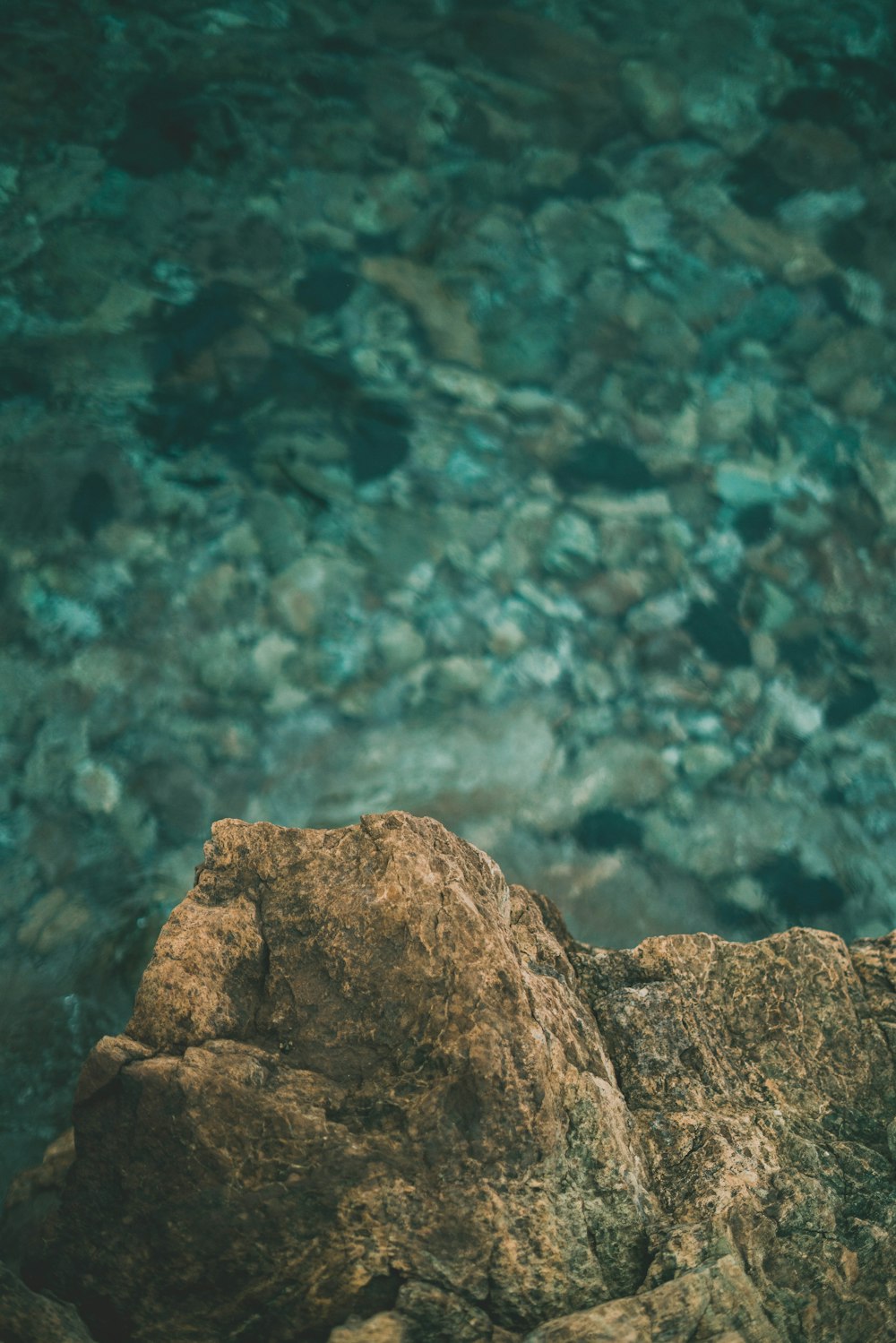 a bird sitting on a rock in the water