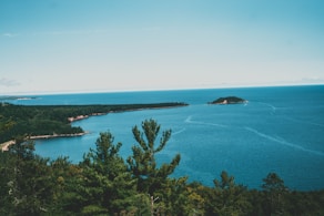 a body of water surrounded by trees on a sunny day