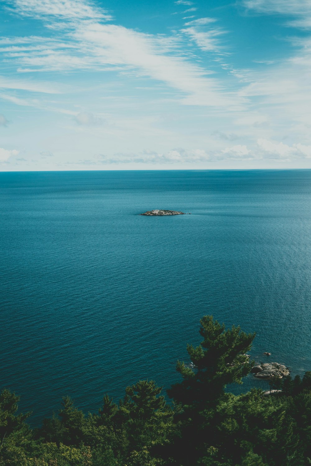 a large body of water surrounded by trees