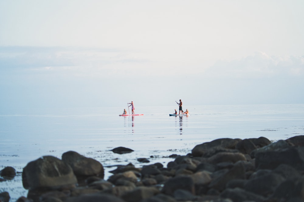 a group of people riding surfboards on top of a body of water