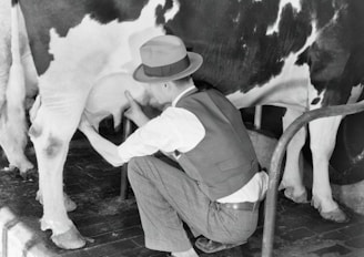 A person wearing a hat and a vest is kneeling down and milking a cow. The cow has a black and white coat, and the background includes a tiled floor.