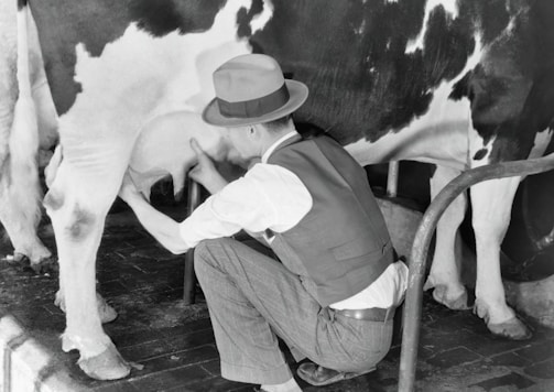 A person wearing a hat and a vest is kneeling down and milking a cow. The cow has a black and white coat, and the background includes a tiled floor.