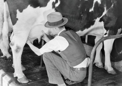 A person wearing a hat and a vest is kneeling down and milking a cow. The cow has a black and white coat, and the background includes a tiled floor.