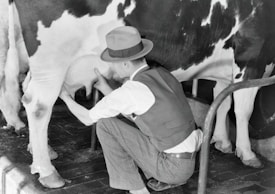 A person wearing a hat and a vest is kneeling down and milking a cow. The cow has a black and white coat, and the background includes a tiled floor.