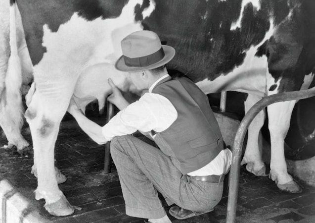Understanding Milking Machine Equipment