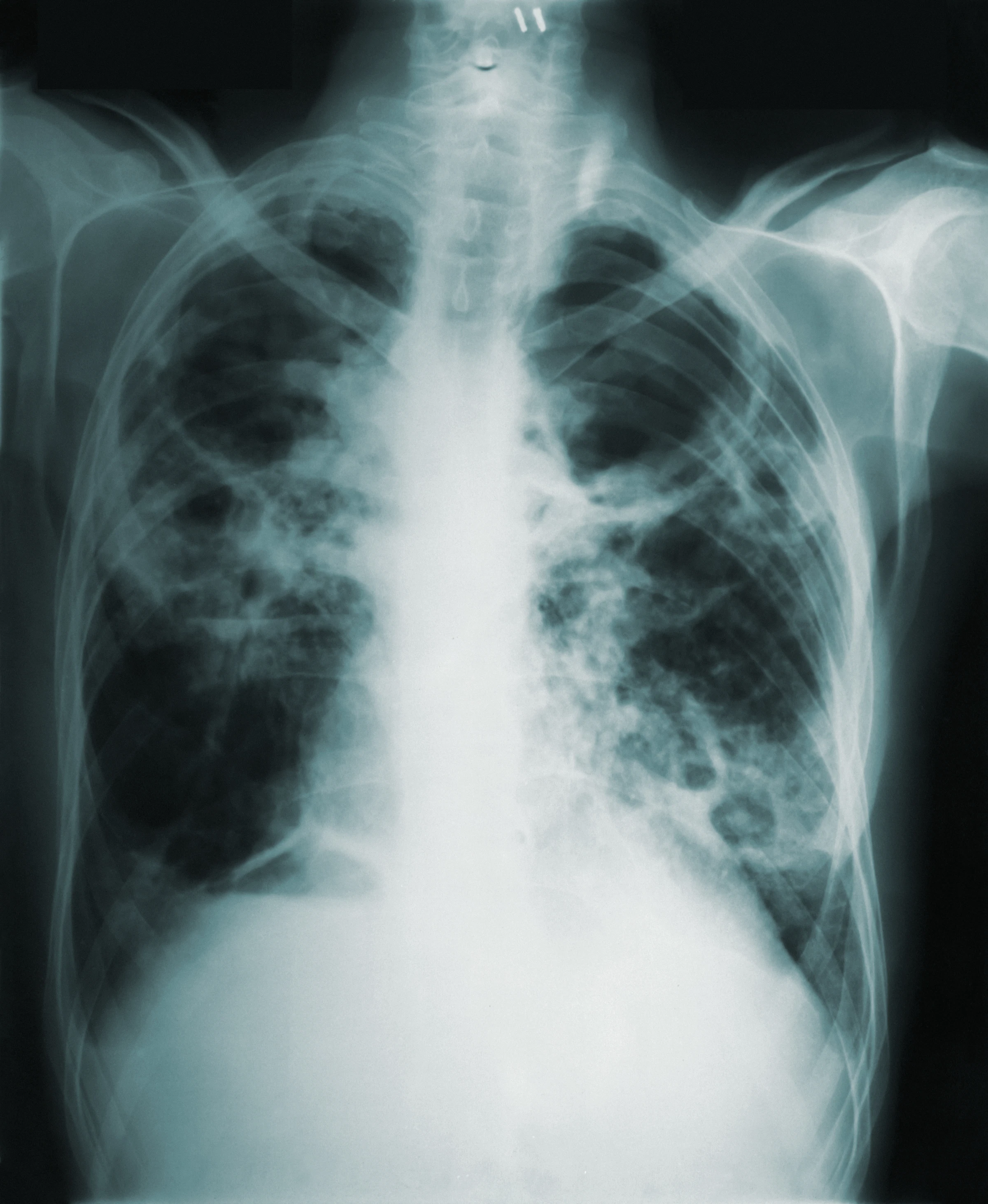 Calibrating Trust in Diagnostic Copilots