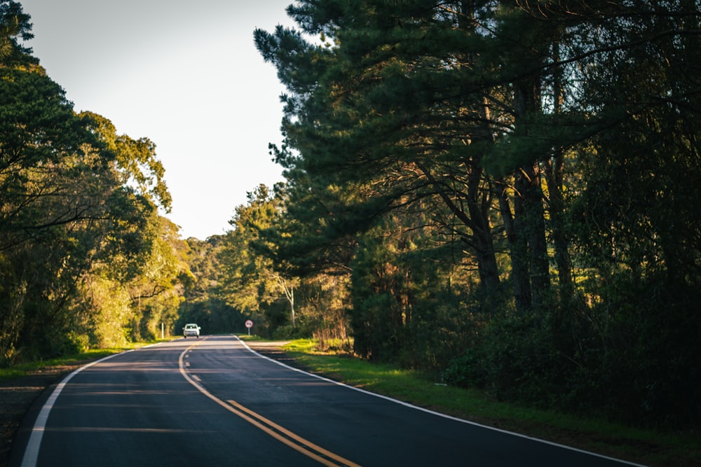 a car driving down a road surrounded by trees