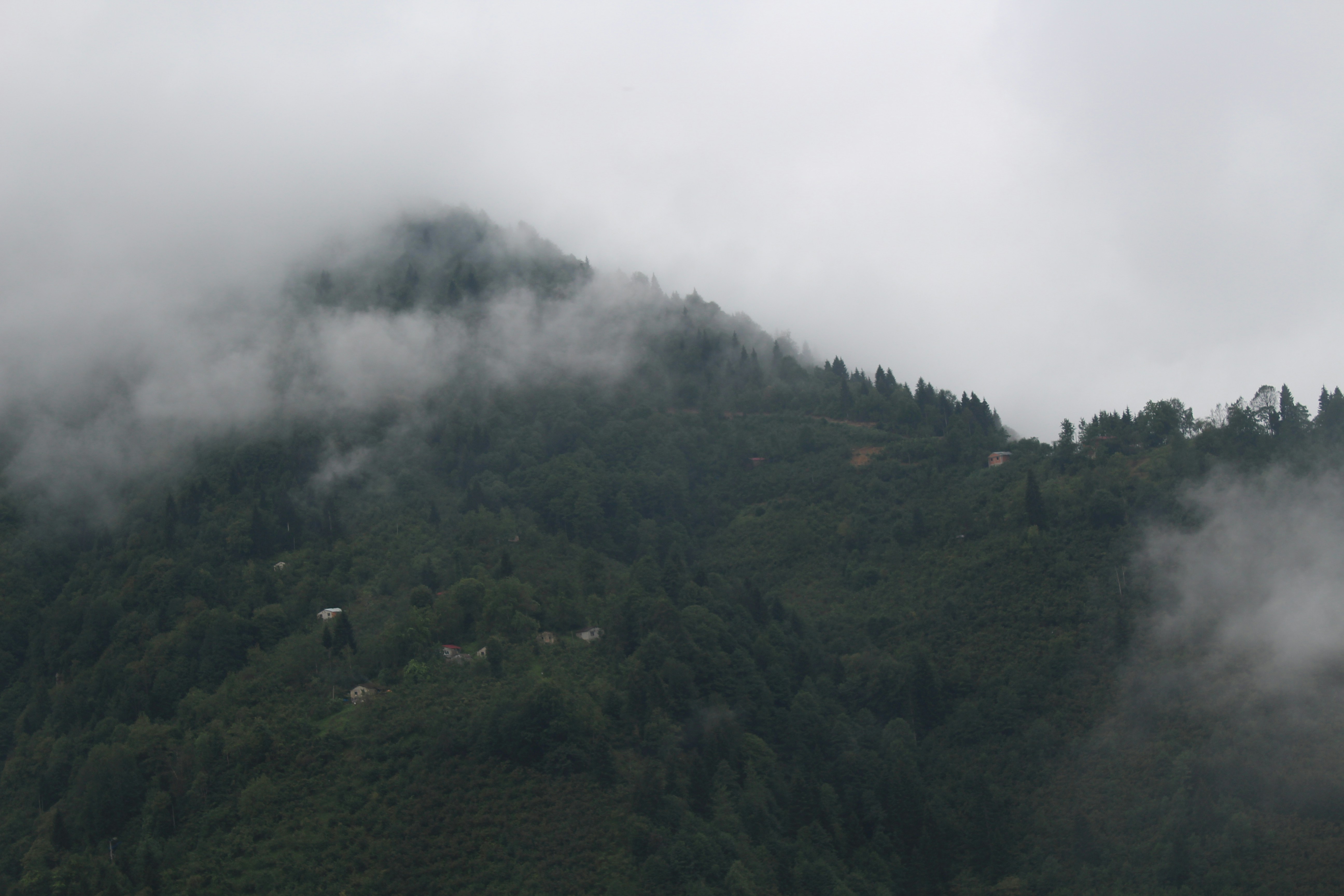 Photo by ademsaidkocadag