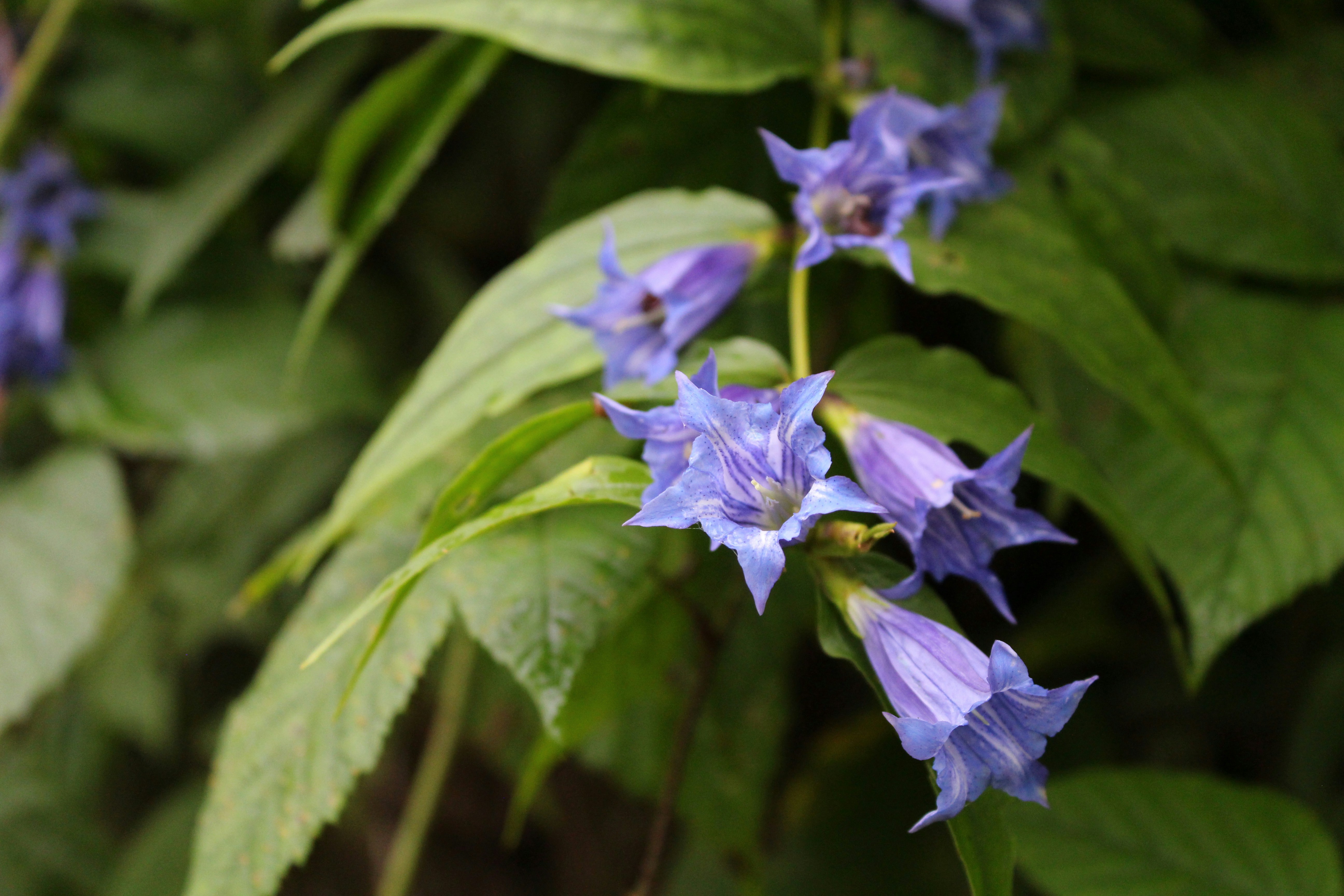 Photo by ademsaidkocadag