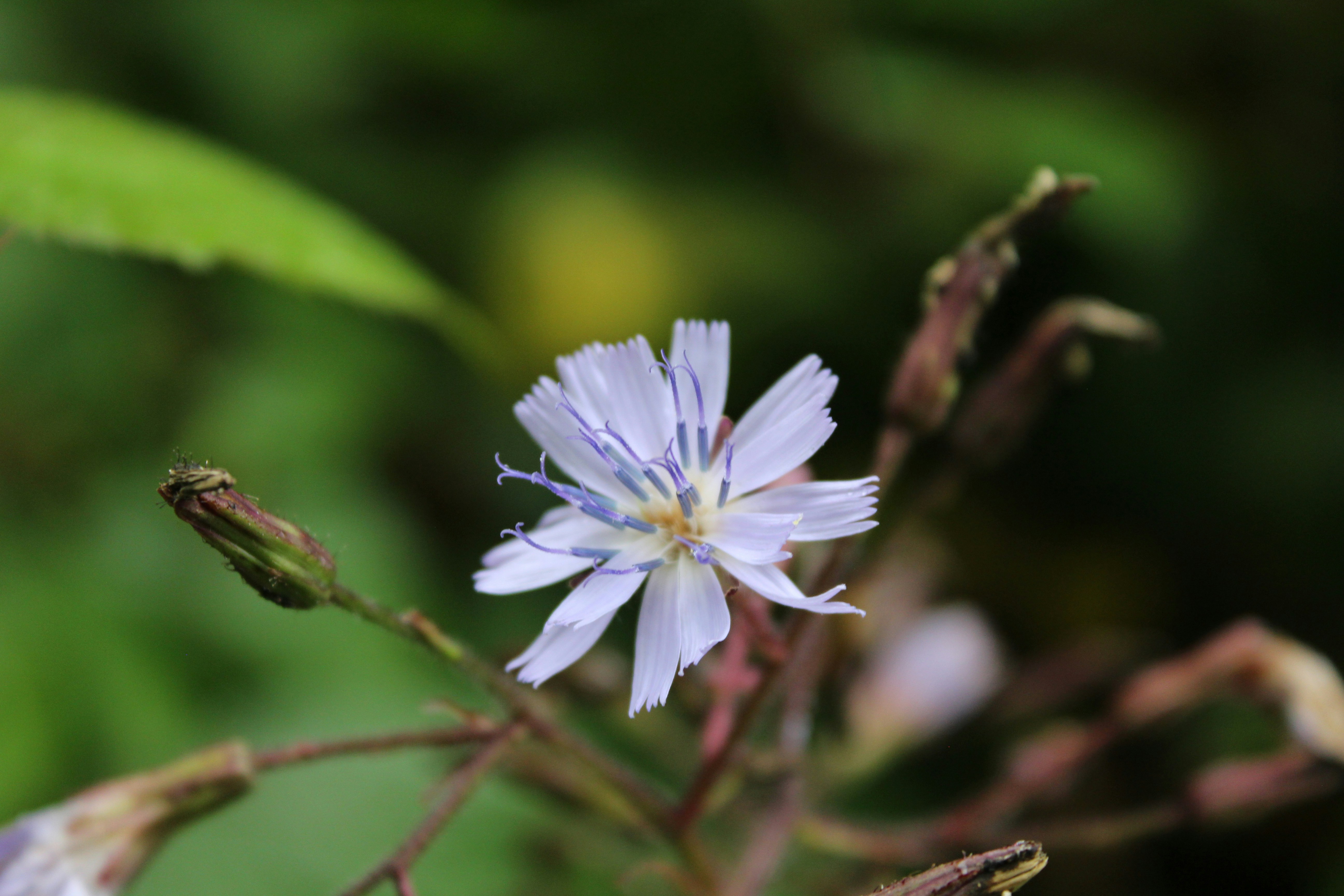 Photo by ademsaidkocadag