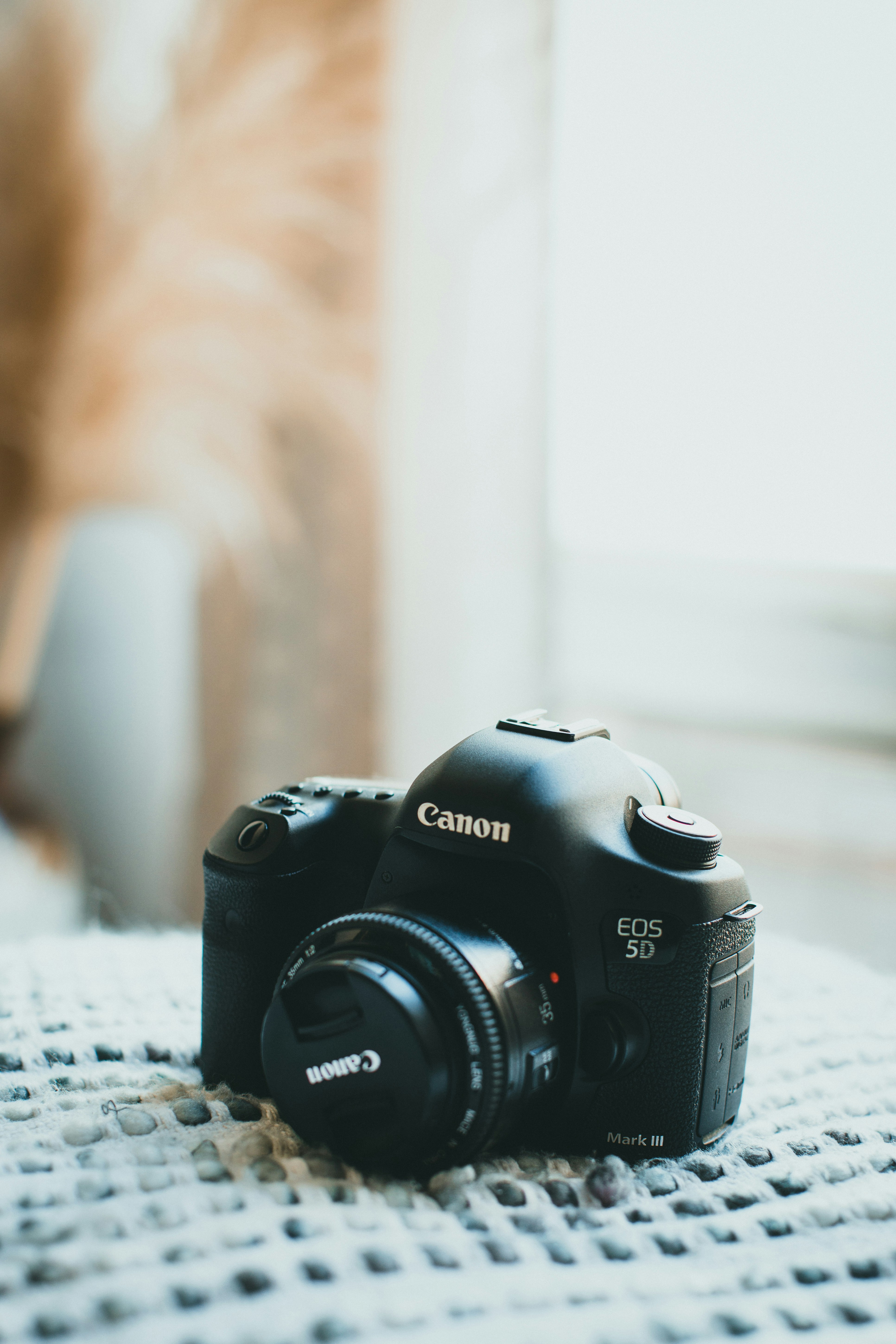 Photo by theshuttervision