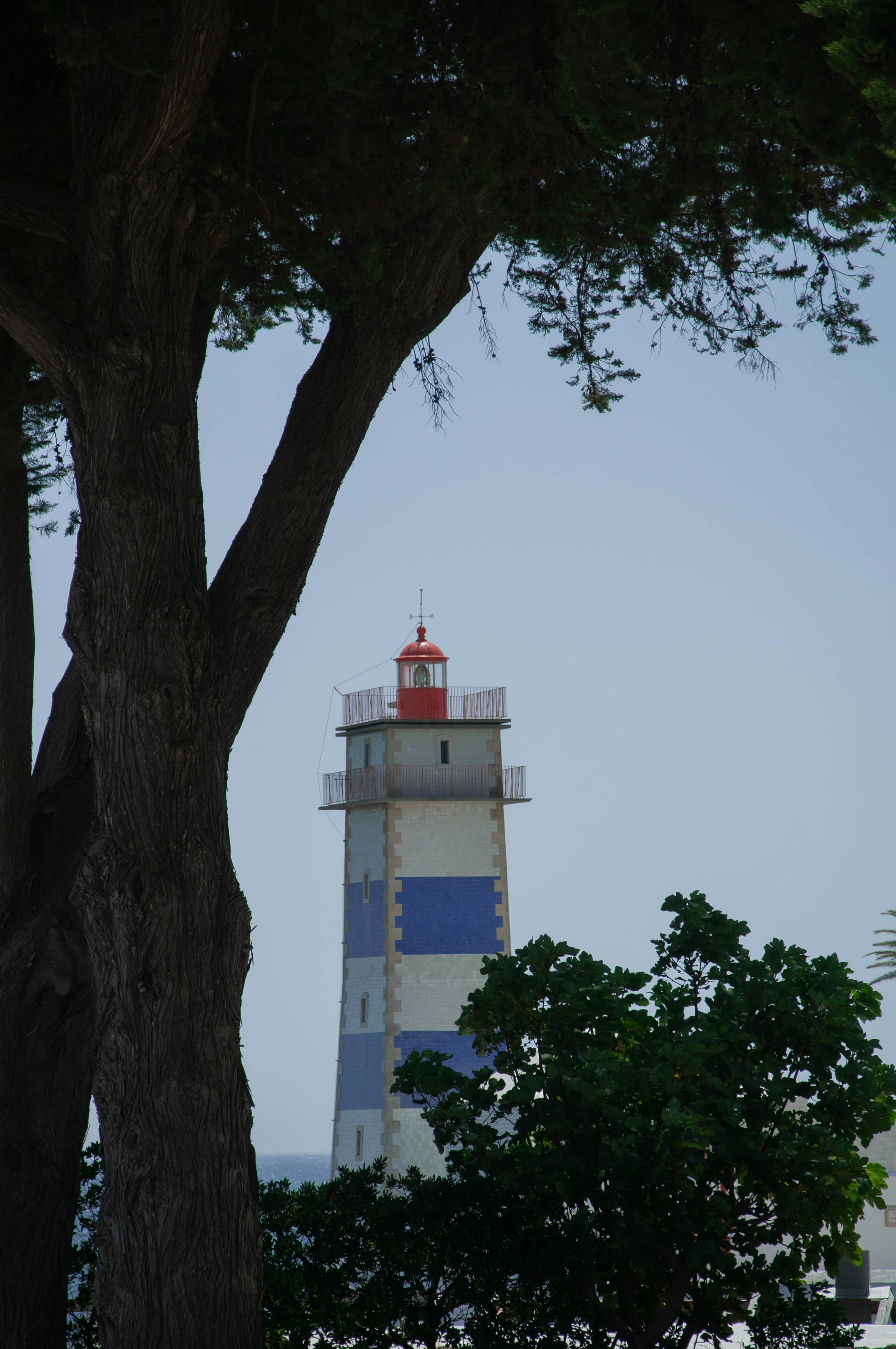 Photo by tostilse