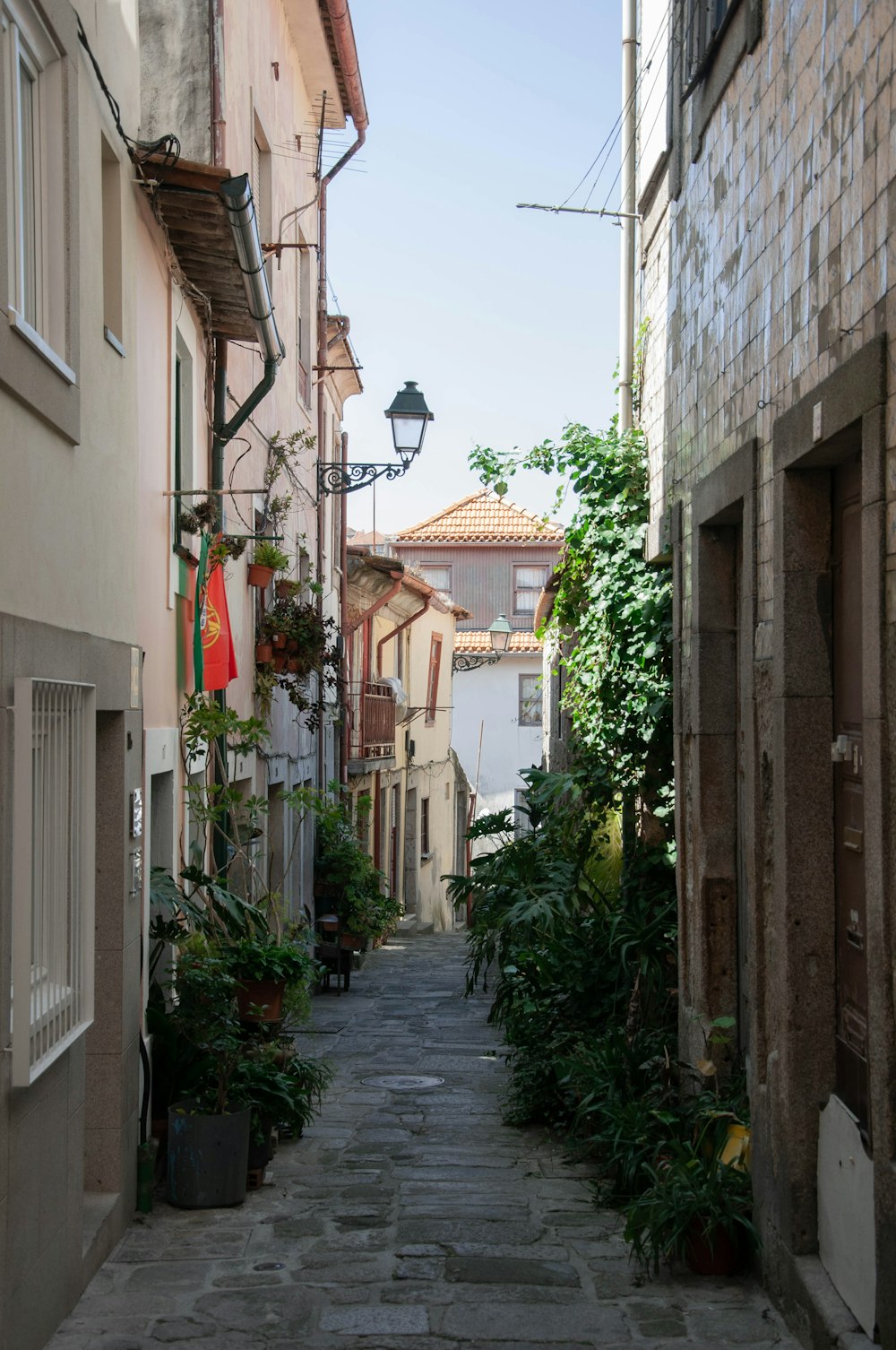 a narrow alley way with potted plants on either side