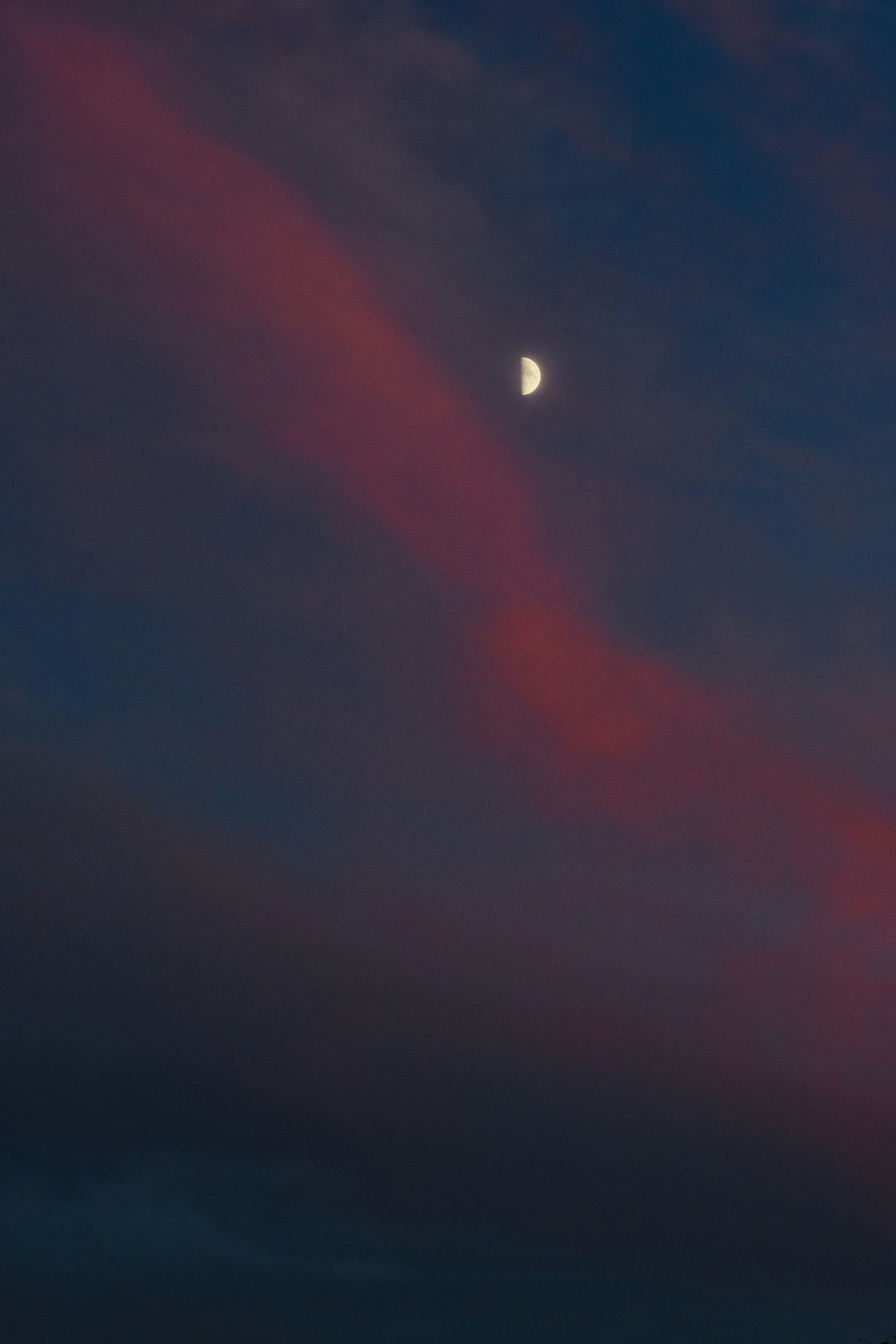 Photo by camielise77