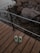 A pair of pale green slippers rests on a wooden deck that overlooks a rocky shoreline. The deck is secured with a black and white railing, and the background features large, weathered rocks leading down to the water.