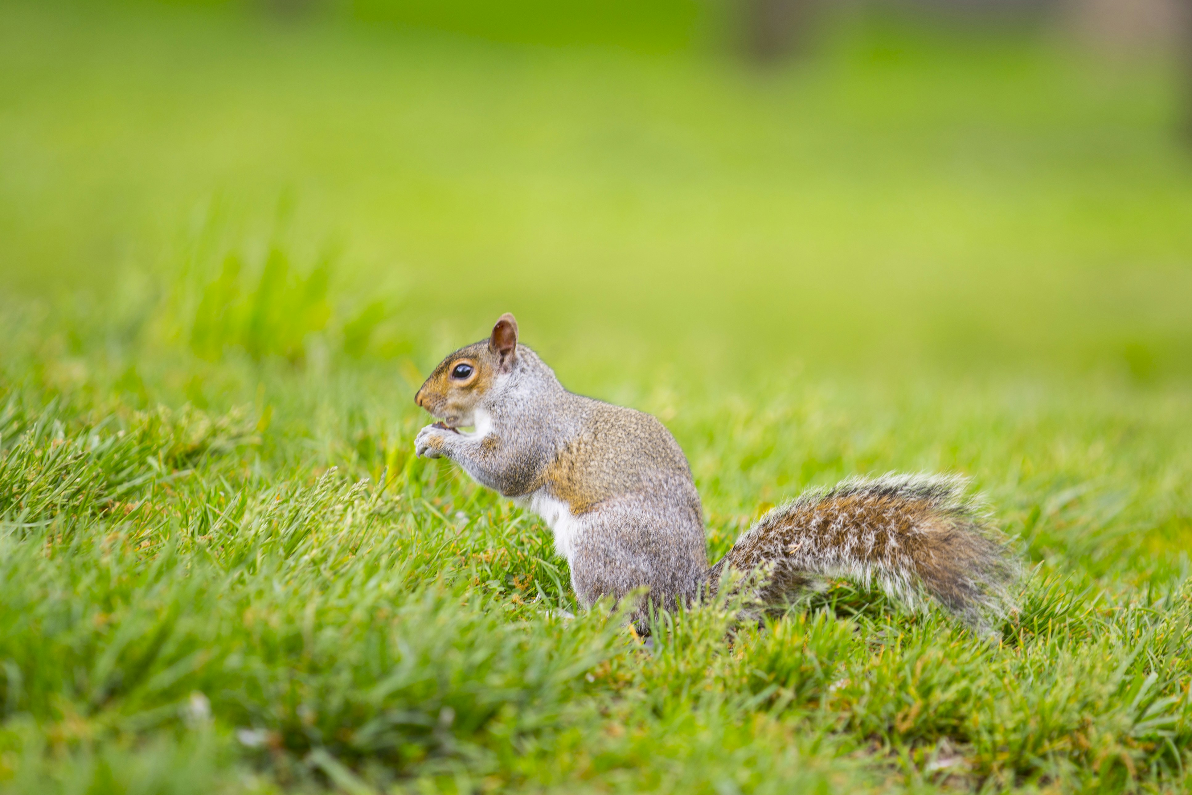 Photo by delmacarneiro