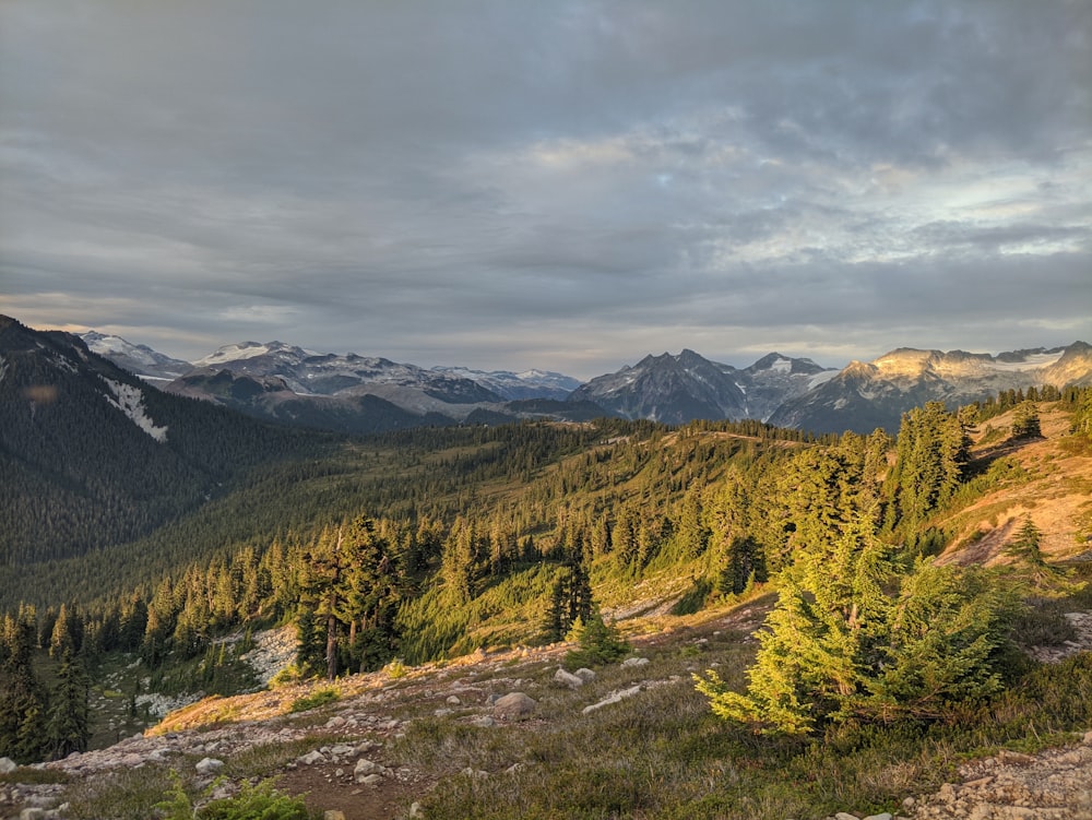 a view of a mountain range with trees in the foreground