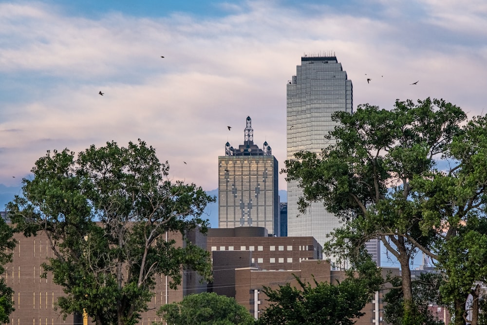 a view of a city with a lot of trees