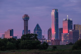 a view of a city skyline with a water tower in the foreground