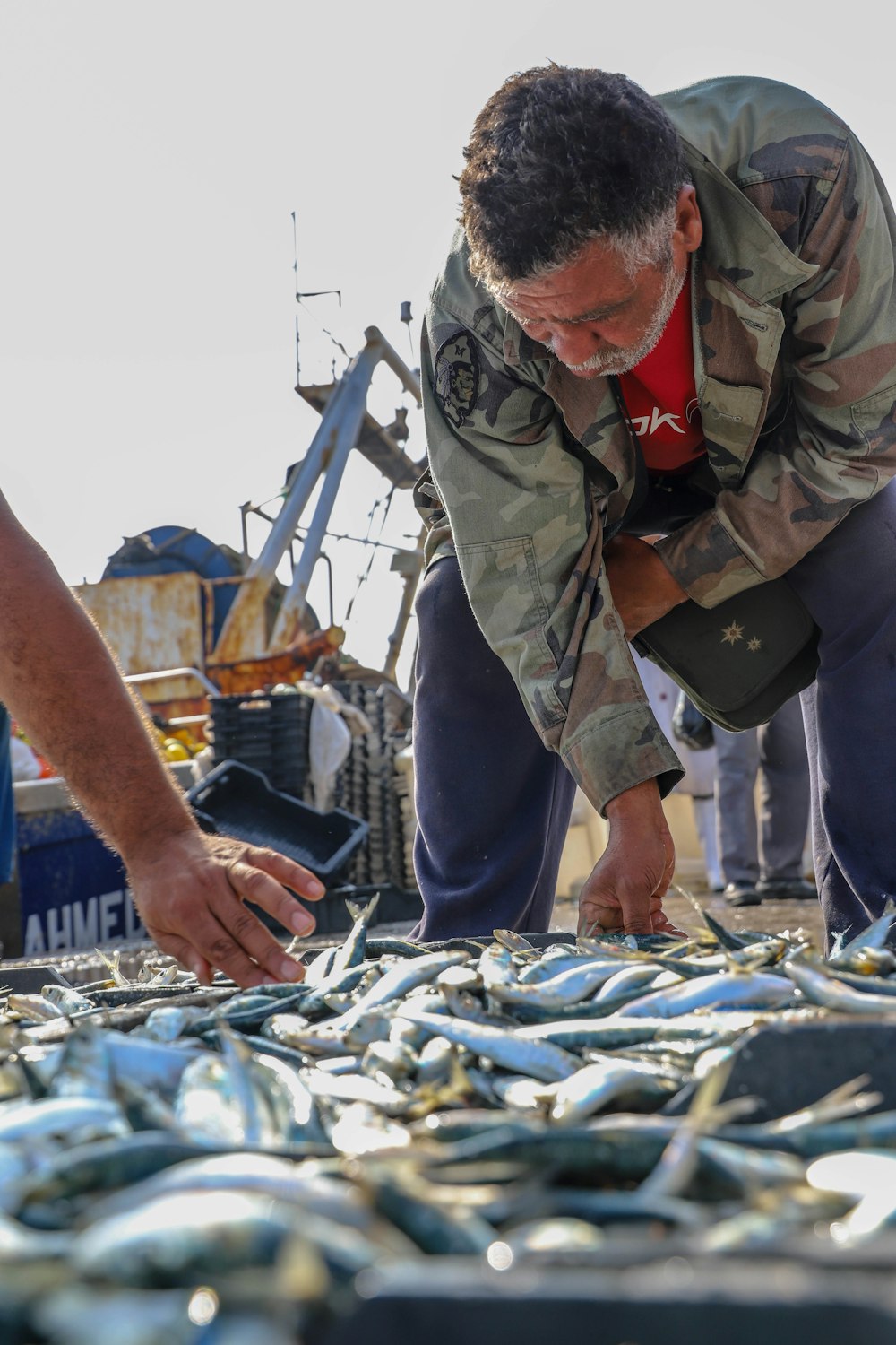 a man bending over a pile of fish